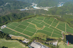  茶園と仁淀川